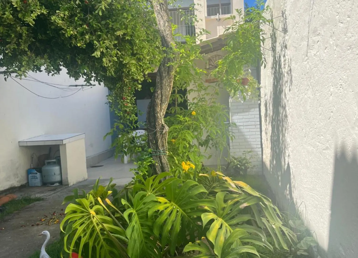Casa 4 Quartos - Centro - Otima Localizacao 포르투세구로 0*,